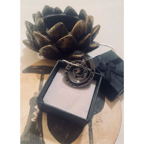 SILVER INFINITY MEDALLION NECKLACE - Picture 3 of 5